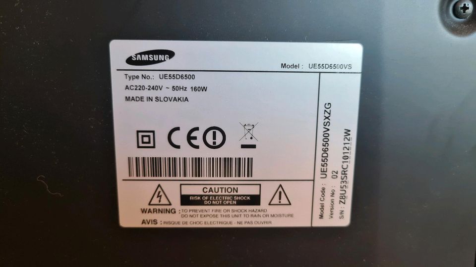Samsung TV 55 Zoll FullHD - defekt in Regen