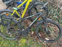 Fahrrad schwarz grün Bayern - Neu Ulm Vorschau