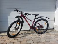 MTB Treck Marlin 6 - 27,5 Zoll Bayern - Reichling Vorschau