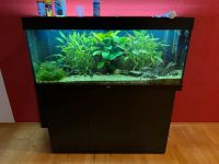 Juwel Rio 240 LED Aquarium inkl. Technik, Inhalt… Baden-Württemberg - Wutöschingen Vorschau