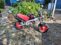 Honda Dax PBR90 Niedersachsen - Neustadt am Rübenberge Vorschau