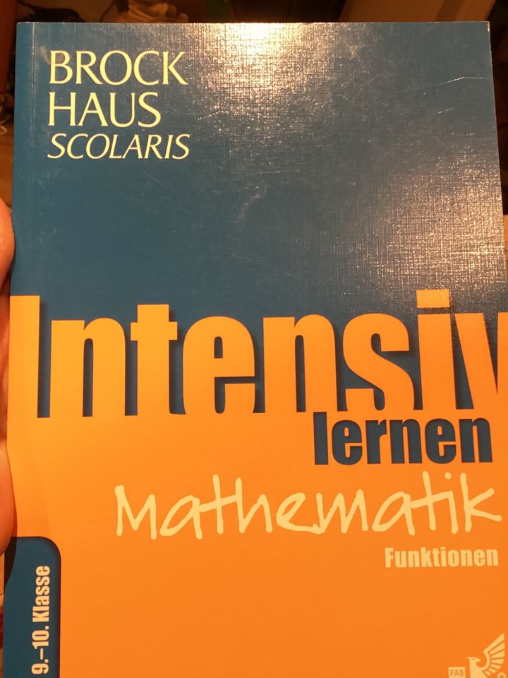 BROCKHAUS Scolaris Mathematik Funktionen 9./10. Klasse in Siershahn