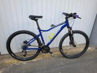 Damen Mountainbike Specialized Jynx Comp 27,5" Nordrhein-Westfalen - Alsdorf Vorschau