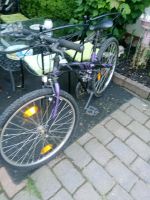 Schönes Fahrrad 26 Zoll Essen - Essen-Kray Vorschau