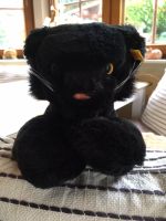 Steiff Panther Plüschtier schwarzer Panther 40 cm Nordrhein-Westfalen - Ruppichteroth Vorschau