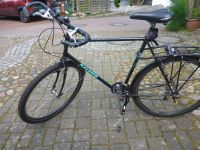 Raleigh Herrenfahrrad Niedersachsen - Stelle Vorschau