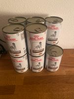 Royal Canin Gastrointestinal 11 x 400g Hunde Nassfutter Bayern - Reigersberg Vorschau