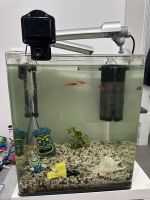 Aquarium Cube 60 Liter Hessen - Lich Vorschau