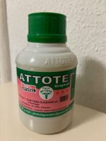 Attote - anregendes Kräutergetränk aus Elfenbeinküste Thüringen - Weimar Vorschau