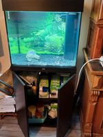 Aquarium Juwel Lido 120 Liter komplett / viel Zubehör und Schrank Wuppertal - Barmen Vorschau