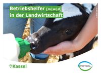 ☀️ Betriebshelfer [m|w|d] für die Landwirtschaft ☀️ Hessen - Kassel Vorschau