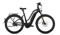 ⚡️ FLYER E-Bike ⚡️ Upstreet3 7.10 ⚡️ Gotour6 7.23 Altona - Hamburg Blankenese Vorschau