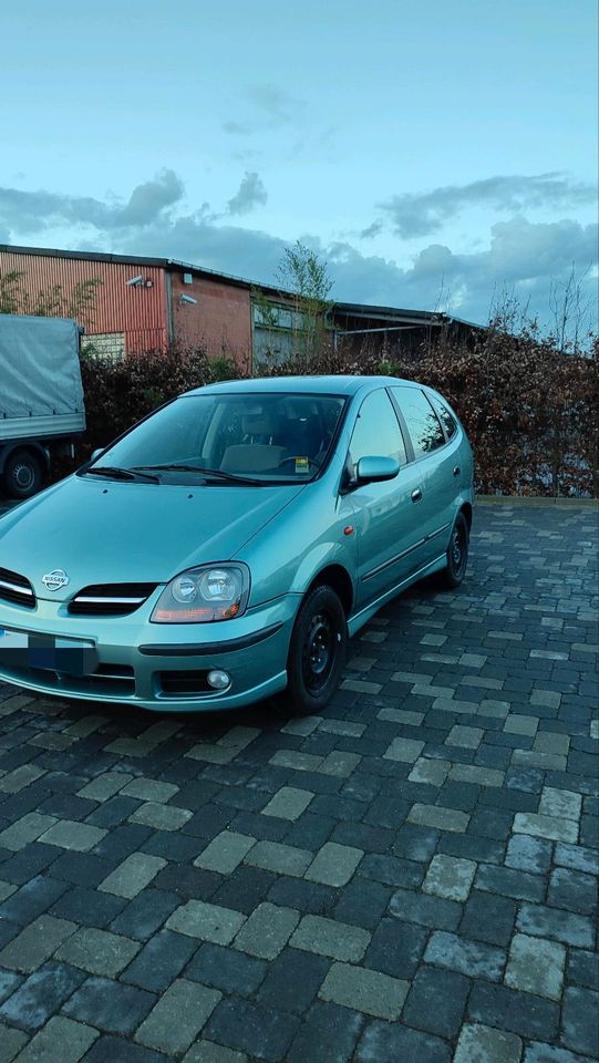 Nissan Almera Tino in Scheeßel