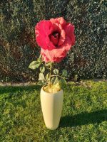 Hohe gelbe Vase inkl. roter Blume Deko Niedersachsen - Rodewald Vorschau