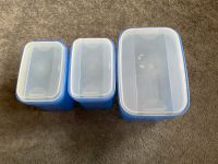 Tupperware Swing Dose Swingbox 3 Stück 450 ml 1 Liter gebraucht Hessen - Ronshausen Vorschau