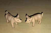 Schleich-Tiere Ferkel Schweinchen Rheinland-Pfalz - Mainz Vorschau