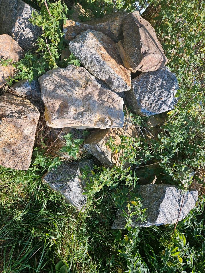 Große Natur Granit Pflastersteine in Bad Langensalza