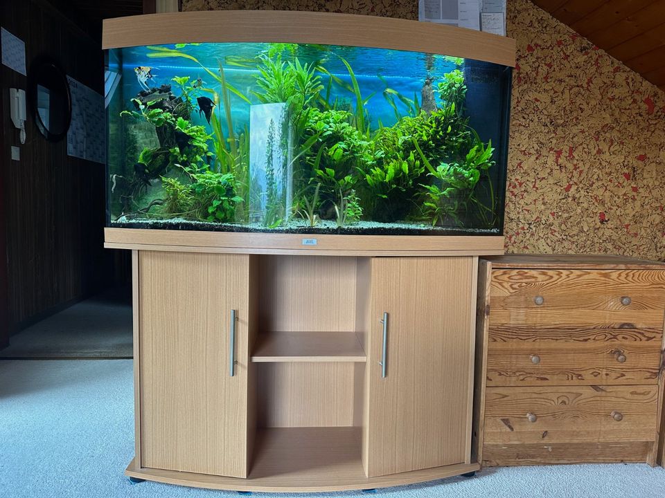 Aquarium Juwel komplett 270 Liter in Freiburg im Breisgau