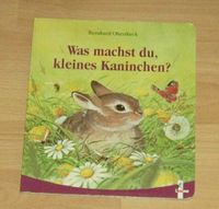 Was machst du, keines Kaninchen? - Pappbilderbuch Niedersachsen - Hildesheim Vorschau