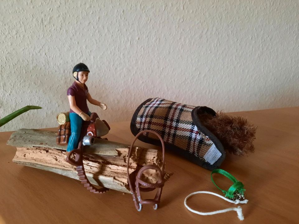 Schleich - Ponyreitset - Distanzreitset 42093- Reiterin + Zubehör in Albersdorf