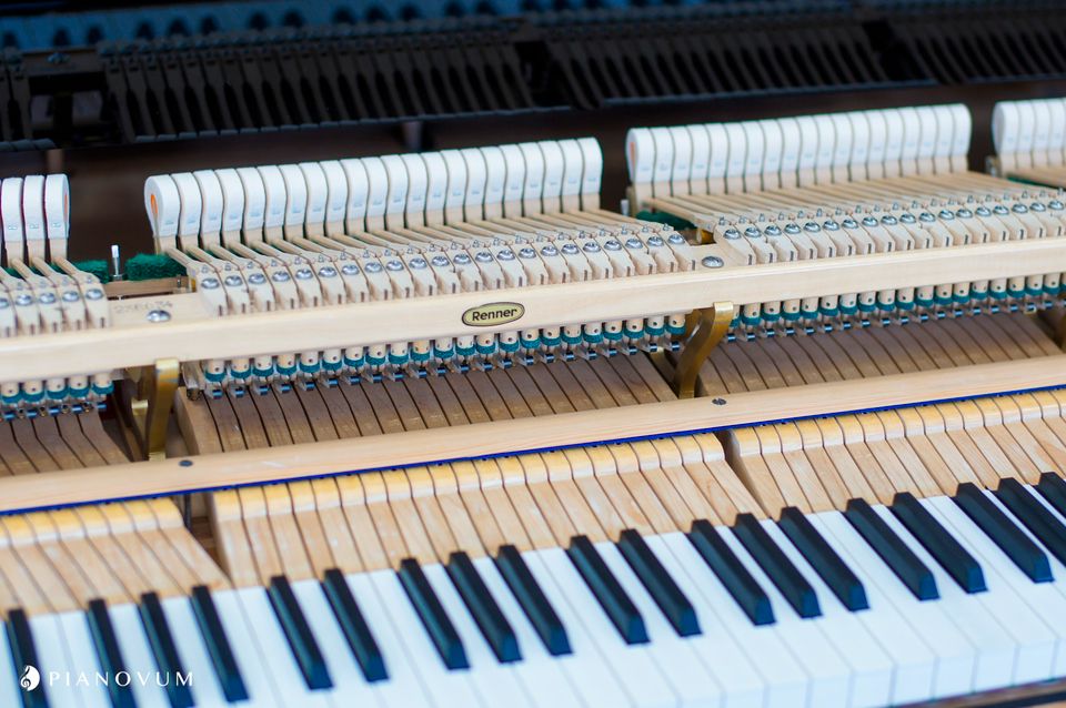 BÖSENDORFER 170 Flügel Bj. 1977 in Wuppertal