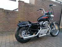 Auspuff, Endrohre Harley Sportster (1999) Hessen - Wöllstadt Vorschau