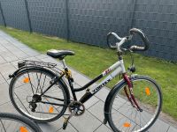 Fahrrad 28 Zoll und 26 Zoll Nordrhein-Westfalen - Rheine Vorschau