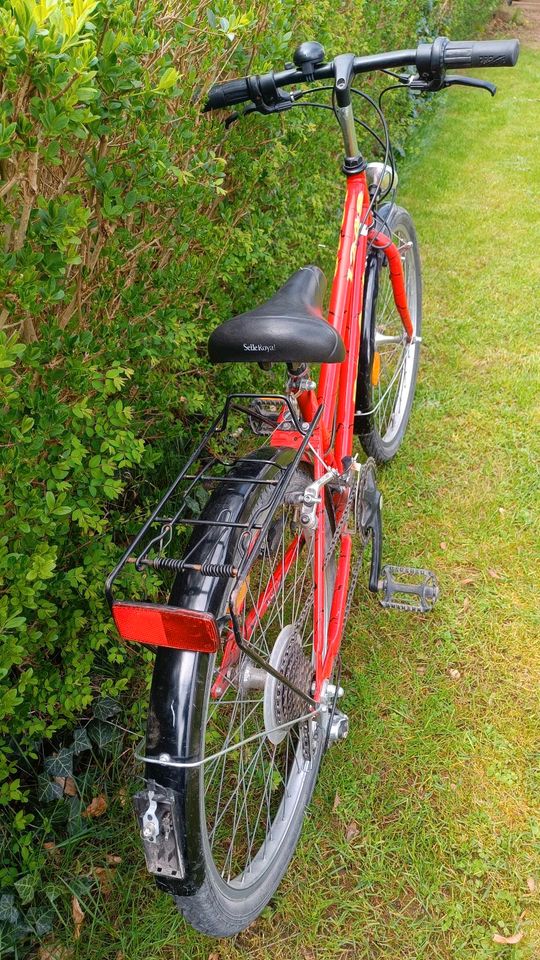 Fahrrad, Kinderfahrrad, 24'' in Rosenthal