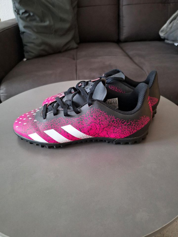 Adidas Predator Freak.4, Größe UK 4,5, US 4, FR 36 2/3 in Oberursel (Taunus)