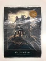 The Elder Scrolls Online Poster Gamescom 2013 Fanartikel Merch Nordrhein-Westfalen - Dinslaken Vorschau