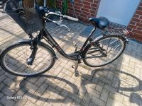 Fahrrad Curtis  28 Zoll Niedersachsen - Uplengen Vorschau