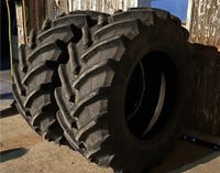 2x Trelleborg 650/65R38 157D TM800 Ackerschlepper Reifen Niedersachsen - Nordstemmen Vorschau