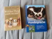 Welcher Hund passt zu uns? Cesar Millan & Hundesprache Bayern - Neufahrn Vorschau