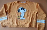 Pullover Snoopy Größe 170 h&m gelb Thüringen - Waltershausen Vorschau