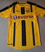 Trikot BVB Borussia Dortmund Größe M mit Signatur Sebastian Kehl Leipzig - Möckern Vorschau