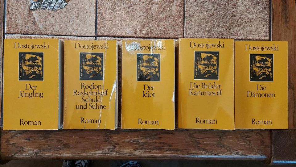 Dostojewski Roman/Bücher Konvolut in Kulmbach