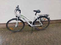 Herren und Damen Fahrrad 28Zoll Niedersachsen - Braunschweig Vorschau