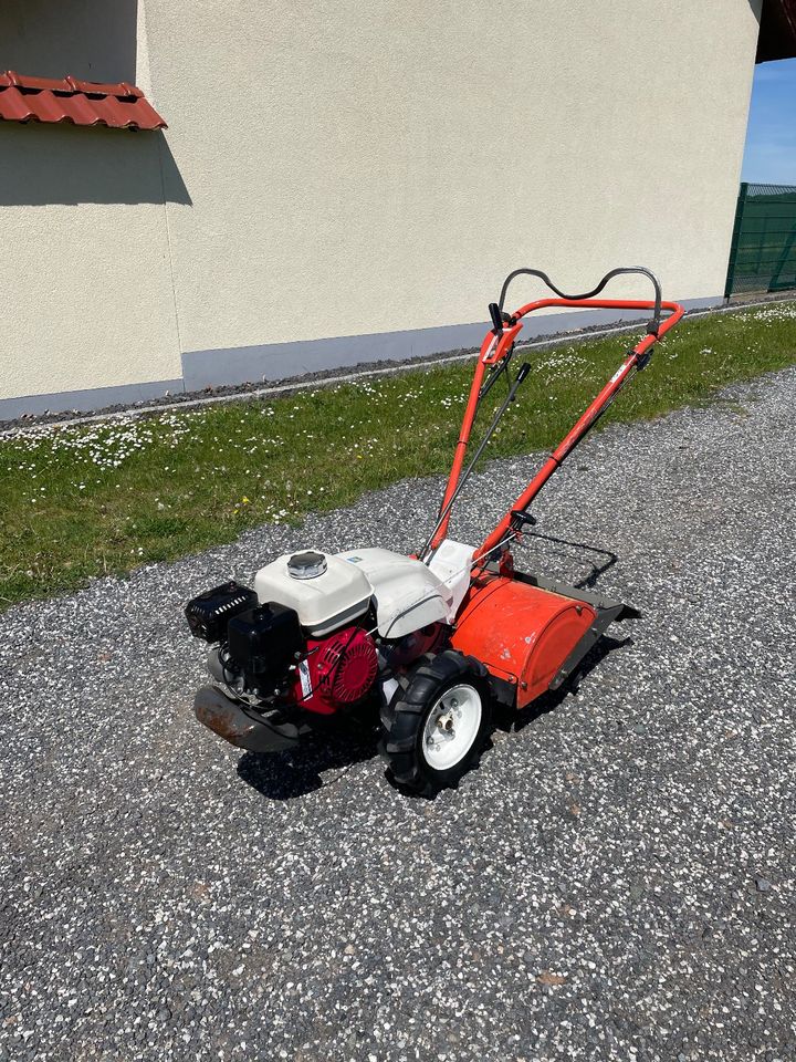 Orec Bodenfräse SF600D Herkules Bodenhacke Motorhacke Gartenfräse in Heilbad Heiligenstadt