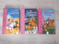 3 Zauberpony bücher für 6€ Niedersachsen - Hardegsen Vorschau