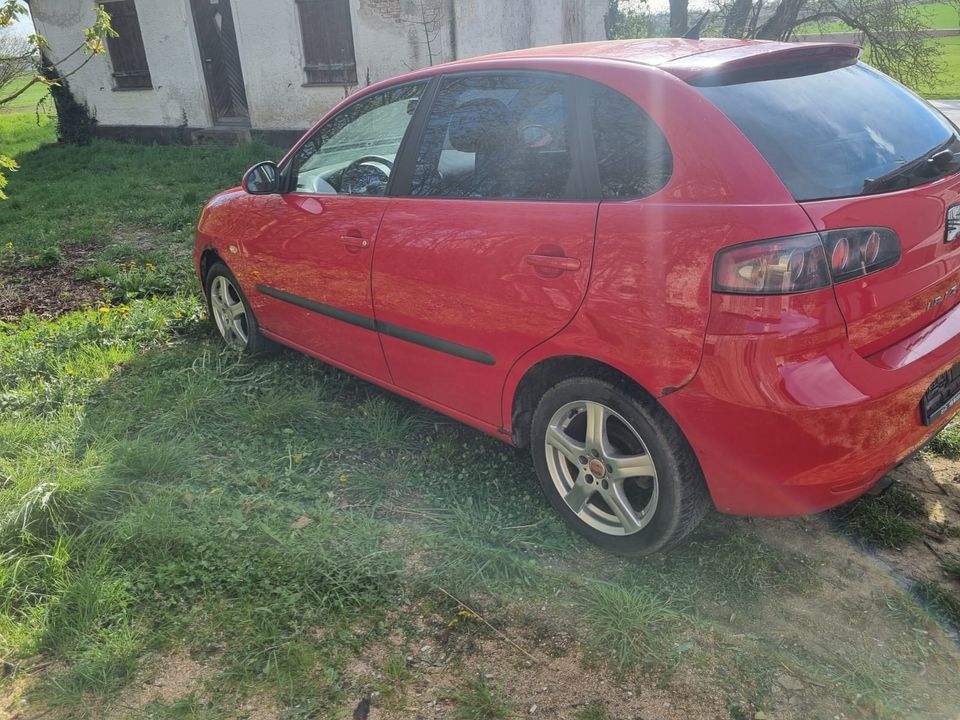 Seat Ibiza in Rennertshofen