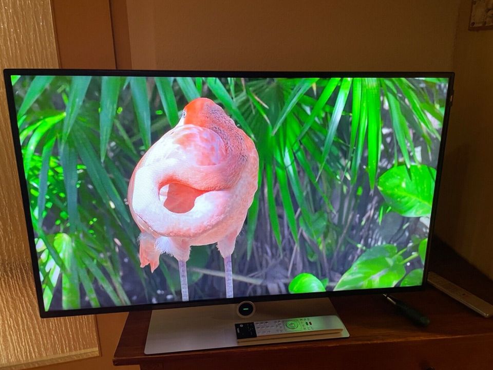 TV Loewe Fernseher Bild 1.40 Zoll LED 40" in Markkleeberg