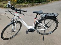 E-Bike Pegasus e8f Premio Rheinland-Pfalz - Alf Vorschau