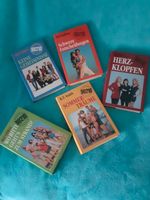 "BEVERLY HILLS 90210" KONVOLUT 5xBÜCHER ZUR BELIEBTEN SERIE-ROMAN Baden-Württemberg - Leinfelden-Echterdingen Vorschau