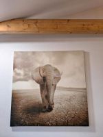 Elefant auf Leinwand 1,20 x 1,20 Nordrhein-Westfalen - Brilon Vorschau