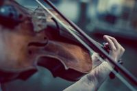 Violinunterricht / Violine Bayern - Meitingen Vorschau