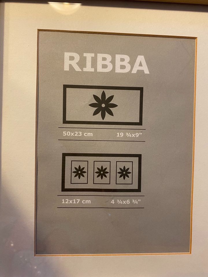 IKEA RIBBA Bilderrahmen in Jever