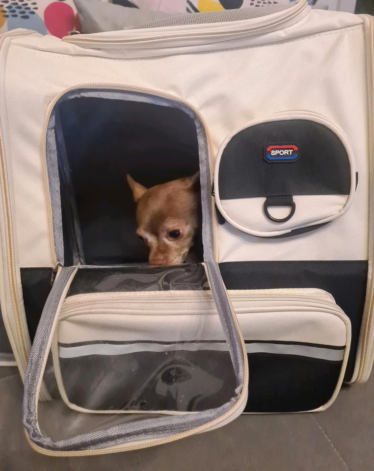 Hunderucksack Tasche für Hunde Rucksack Autotasche in Oldenburg