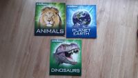 3 English Children Books - Englische Kinderbücher - Animals ... Brandenburg - Planebruch Vorschau