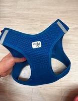 Hundegeschirr Curly XL Vest Harness Air Mesh Blau Niedersachsen - Westerstede Vorschau