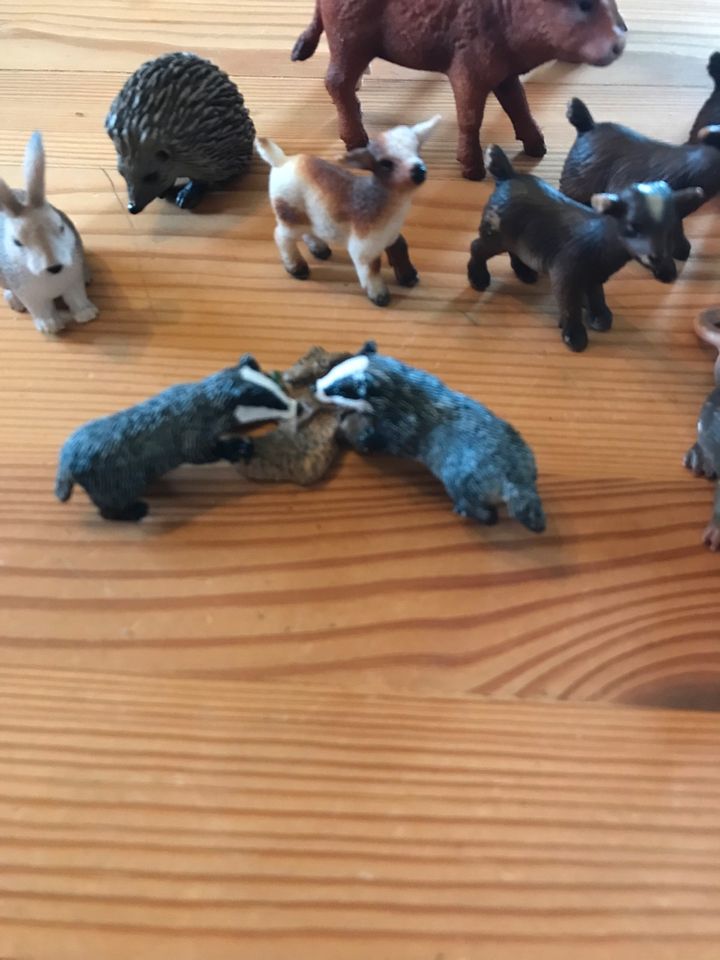 Schleich Schaf, Ziegen, Kälbchen  Hase, Igel u.Waschbären in Nümbrecht